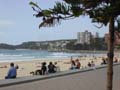bondi2