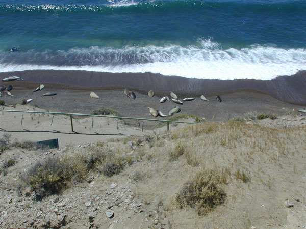 iguazu falls argentina dec 2000-2 046