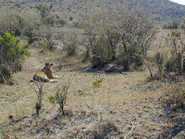 egypt to mombassa 005