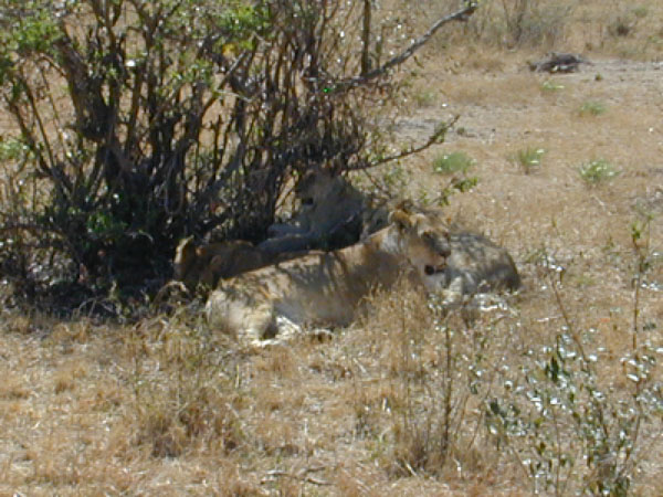 egypt to mombassa 008