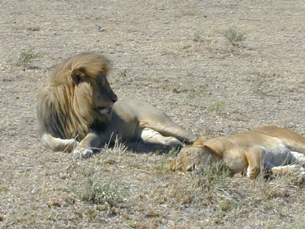 egypt to mombassa 009
