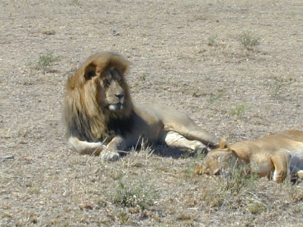 egypt to mombassa 012