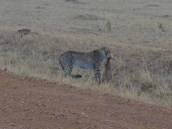 egypt to mombassa 015