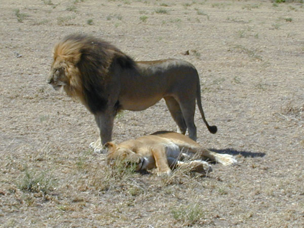 egypt to mombassa 016