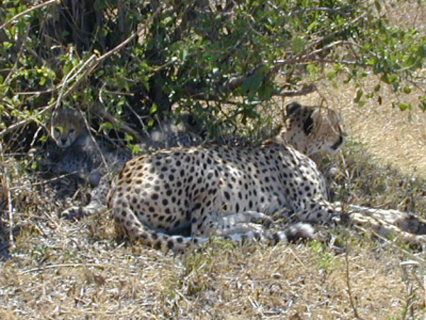 egypt to mombassa 020