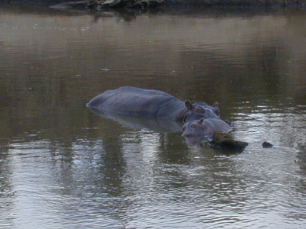 egypt to mombassa 028