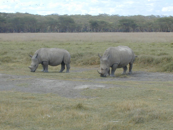 egypt to mombassa 032