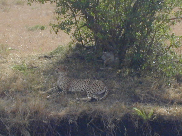 egypt to mombassa 033