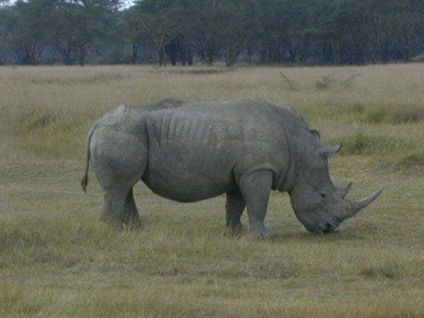 egypt to mombassa 037