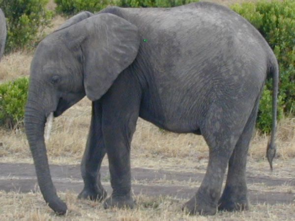 egypt to mombassa 041