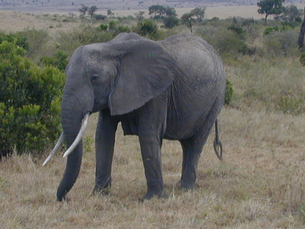 egypt to mombassa 042