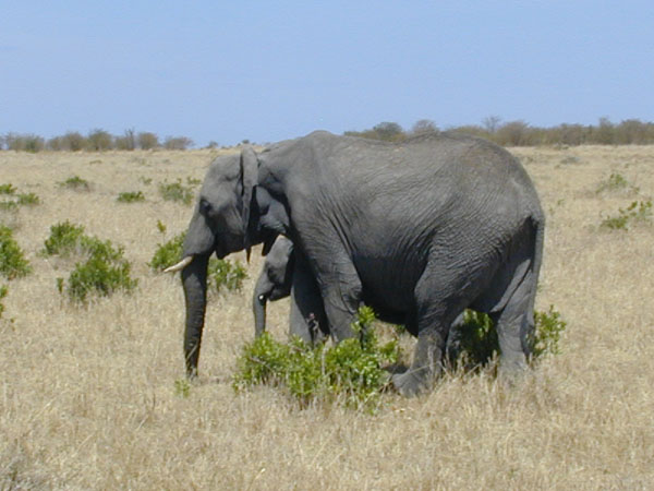 egypt to mombassa 044