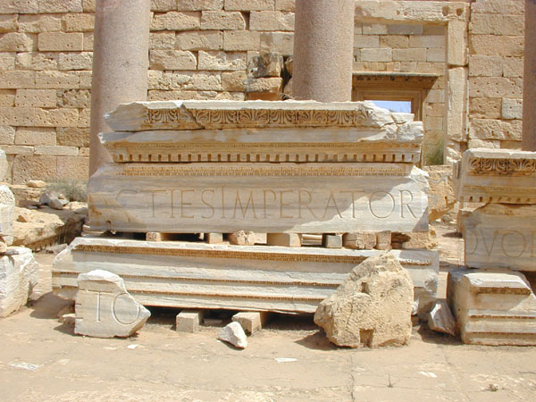 lepis magna