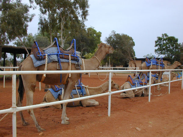 la australia and far east 055