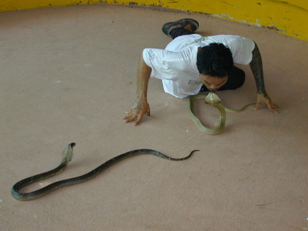 la australia and far east 096