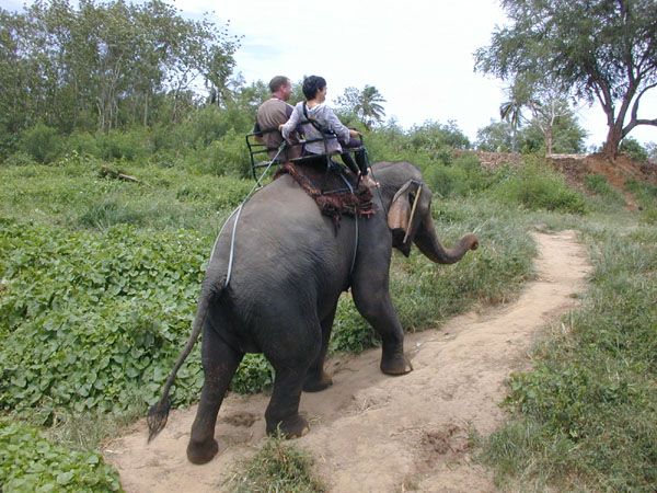 la australia and far east 127