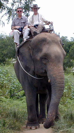 Alternative Transport